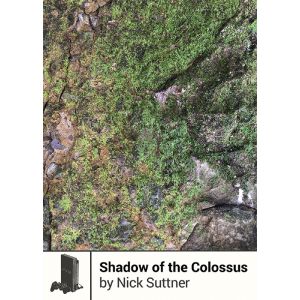 Boss Fight Books - Shadow of the Colossus