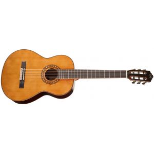 Tanglewood EM D3