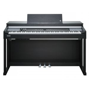 Kurzweil CUP P1 SR