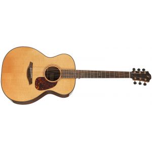 Furch Rainbow OM-TL