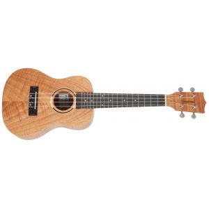 Tanglewood TWT 6