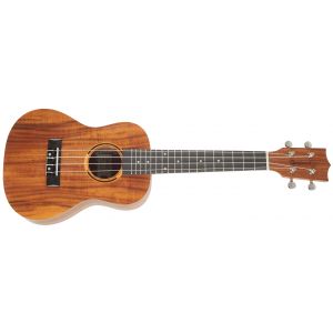 Tanglewood TWT 8