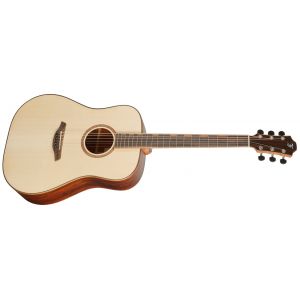 Furch Red Pure D-LC
