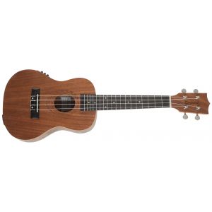 Tanglewood TWT 3 E