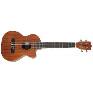Tanglewood TWT 17 E (déballé)