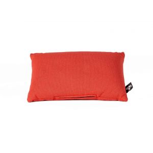 CUSHION CORAL