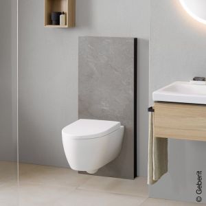 Geberit Monolith Plus Module sanitaire H: 114,5 cm, pour cuvette murale, 131231007,