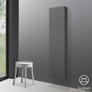 Burgbad Cube Colonne, 1 porte, SPCB040LF3805,