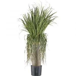 Plante artificielle Beaucarnea - kaiserkraft