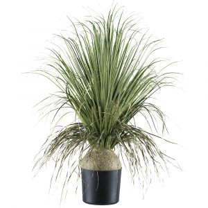 Plante artificielle Beaucarnea - kaiserkraft