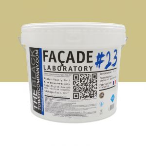 FACADE LABORATORY #23 - Peinture HYDRO Pliolite RAL 1000 - Beige Vert 15L