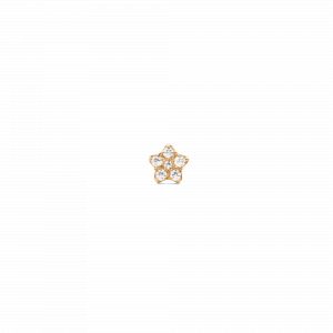 Daniel Wellington DW Earrings Micro 4,5mm Gold