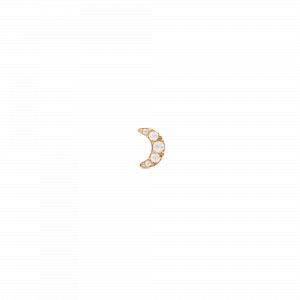 Daniel Wellington DW Earrings Micro 5mm Gold