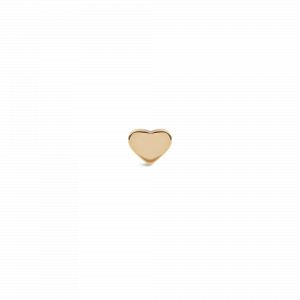 Daniel Wellington DW Earrings Micro 3,8mm Gold