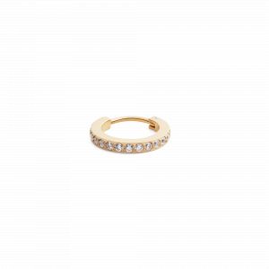 Daniel Wellington DW Earrings Micro 13,6mm Gold
