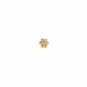 Daniel Wellington DW Earrings Micro 4,5mm Gold