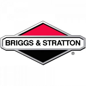 Bouchon De Reservoir Briggs et Stratton - 491367S 0024847232257