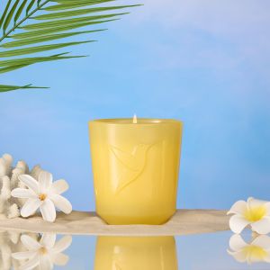 Monoï sacré Bougie 180g