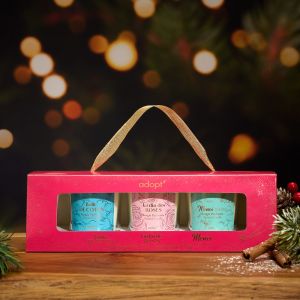 Coffret Mini Bougies Best Sellers Coffret 3 bougies Voile de coton 70g + Jardin des roses 70g + Mono&iuml; des &icirc;les 70g