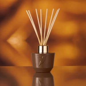 Nuit interdite Diffuseur 100 ml