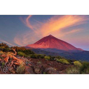 Circuit Echappée canarienne depuis l'hôtel Riu Buenavista 4* - Arrivée aéroport Tenerife Sud