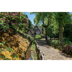 Circuit Echappée Active à Madère depuis le Riu Madeira 4*