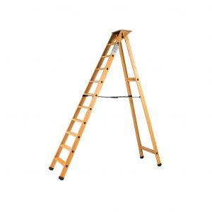 Escabeau Lyonnais bois 10 marches + tablette Centaure