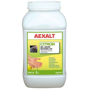 Gel mains microbilles spécial fortes salissures 5 L CITRON Aexalt