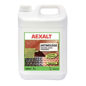 Bidon de 5 L Anti-mousse hydrofuge toitures et terrasses Aexalt