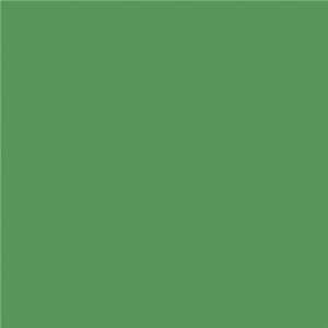 Avery 800 brillant 812 vert cactus adhésif permanent 1230 mm x 50 m(812/1.23)