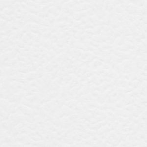 Papier Conqueror Contour Brillant White 100 g/m² 450 mm x 640 mm avec filigrane Paquet de 500 feuilles