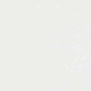 Papier Conqueror 25% recycled CX22 Lys 320 g/m² 700 mm x 1000 mm Paquet de 100 feuilles