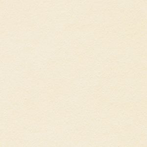 Papier Conqueror Bamboo Crema 350 g/m² 700 mm x 1000 mm Paquet de 100 feuilles