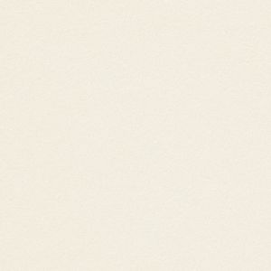 Papier Rives Tradition Pale Cream 250g/m² 700 mm x 1000 mm Paquet de 100 feuilles