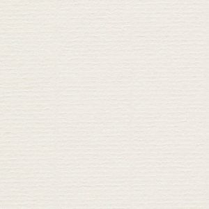 Papier Conqueror Recycled Laid Écume 100 g/m² 450 mm x 640 mm avec filigrane Paquet de 500 feuilles