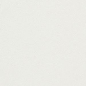 Papier Conqueror Iridescent Argent Irisé 100 g/m² 450 mm x 640 mm Paquet de 500 feuilles