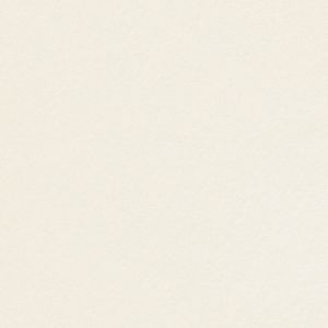 Papier Conqueror Wove Oyster 120 g/m² 450 mm x 640 mm Paquet de 250 feuilles