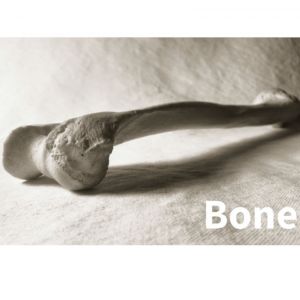 Avery Squid mat Bone Adhesif enlevable 1370 mm x 25 m(SQUID/BONE/1.37)