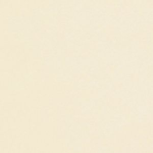 Papier Conqueror CX22 Cream 100 g/m² 450 mm x 640 mm Paquet de 500 feuilles