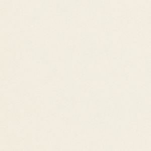 Papier Conqueror CX22 Oyster 100 g/m²  430 mm x 610 mm Paquet de 500 feuilles