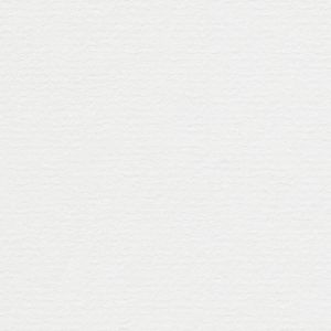 Papier Conqueror Recycled Laid Brillant White 120 g/m² 700 mm x 1000 mm Paquet de 250 feuilles