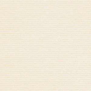 Papier Conqueror Laid Cream avec filigrane 100g/m² 450mm x 640mm Paquet de 500 feuilles