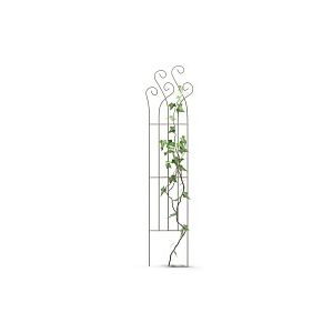 Tuteur treillage en acier pour rosier et plante grimpante avec volutes L. 39,5 x H. 170cm