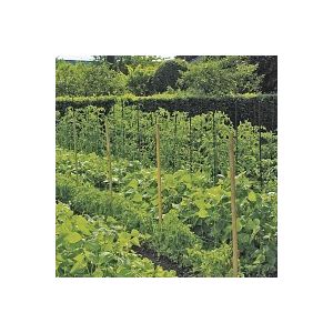 Filet à ramer bio compostable pour palissage et croissance - L. 5 x l. 1,85 m
