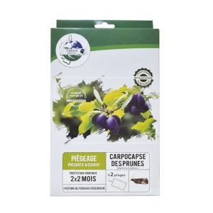 Pi&egrave;ge collant avec ph&eacute;romones contre le ver de la prune x2 - Plaques englu&eacute;es, diffusion 2 mois