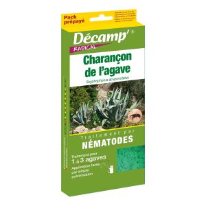 N&eacute;matodes Sc contre le charan&ccedil;on de l'agave - 25 millions (3 plantes)