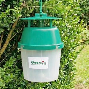 Pi&egrave;ge &agrave; ph&eacute;romones universel pour papillons (pyrale, carpocapse, mineuse...) -vendu sans ph&eacute;romone