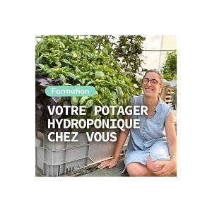 Formation en ligne - L'hydroponie chez soi