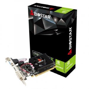 Biostar VN6103THX6 GeForce GT610 2 Go DDR3