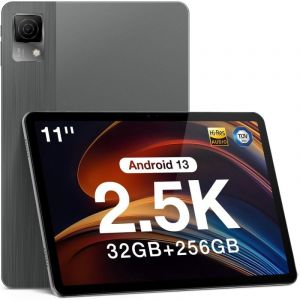Doogee T30 Ultra 2024 11" 4G 12/256Go Gris